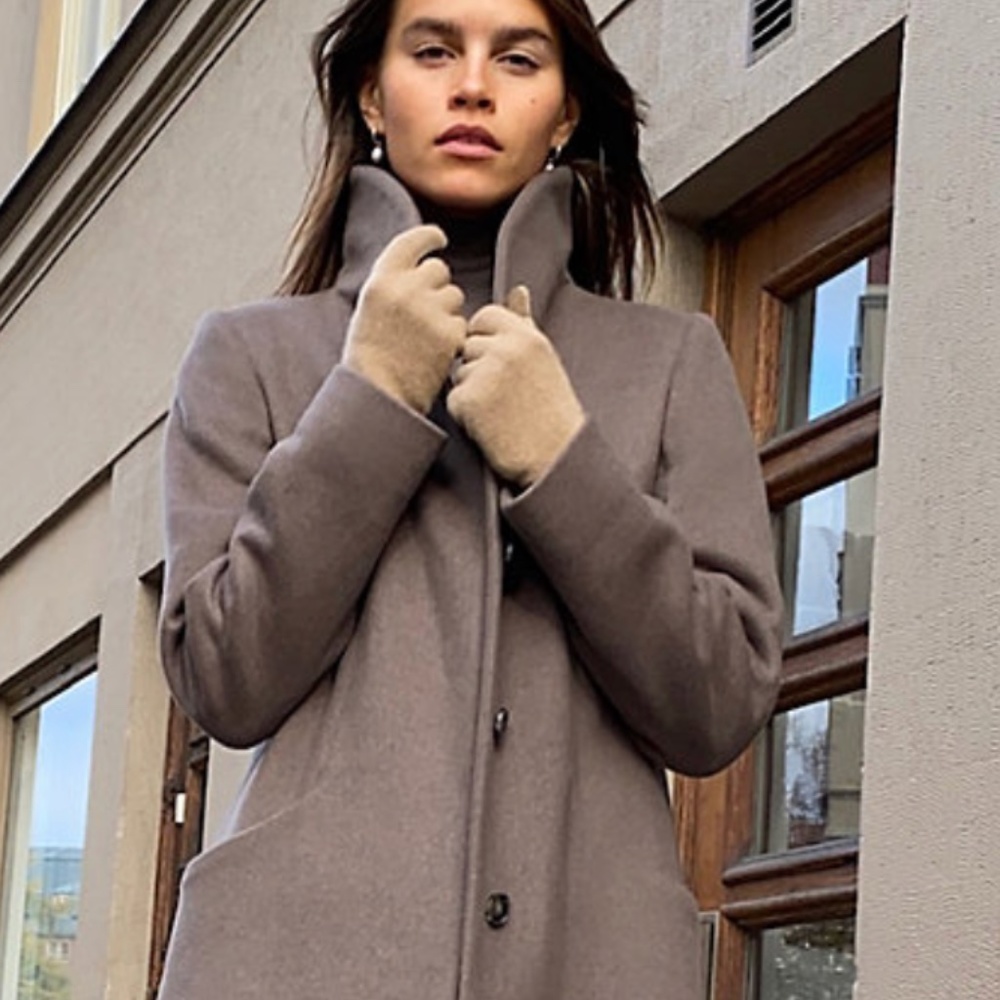 Aritzia Cocoon Coat